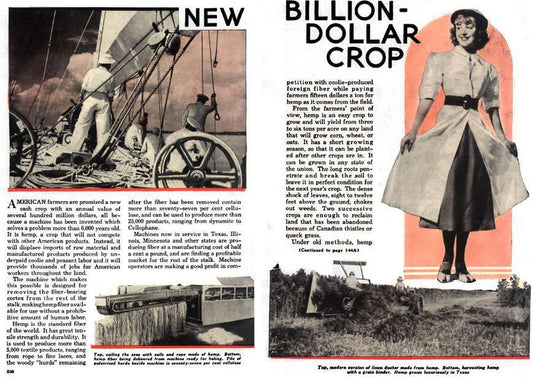 The 25,000 uses for Hemp, and the People Trying to Stop it