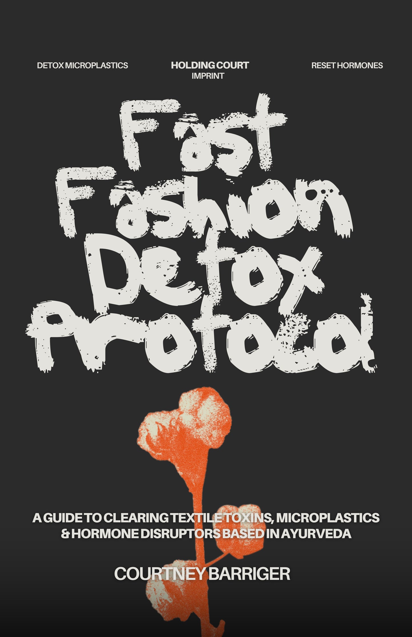 Fast Fashion Detox Protocol Gift